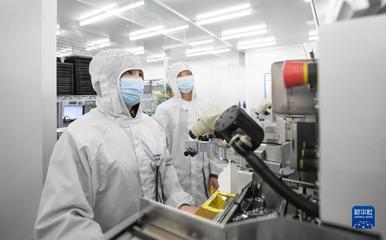 靠谱服务、技术推销、标准开路——一家光通信企业的“出海秘籍”